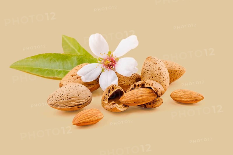 Almond nuts, leaves, and flower showing the seed resting on a beige background create a visually appealing arrangement
