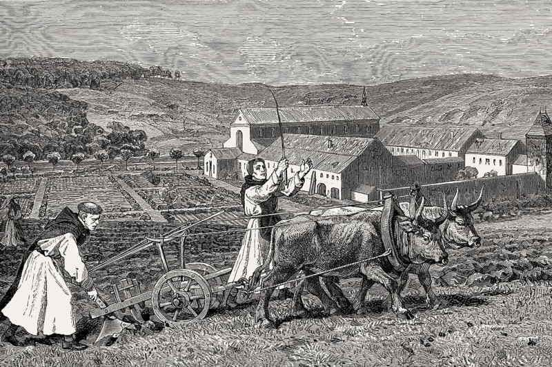 Cistercian monks at the farm work