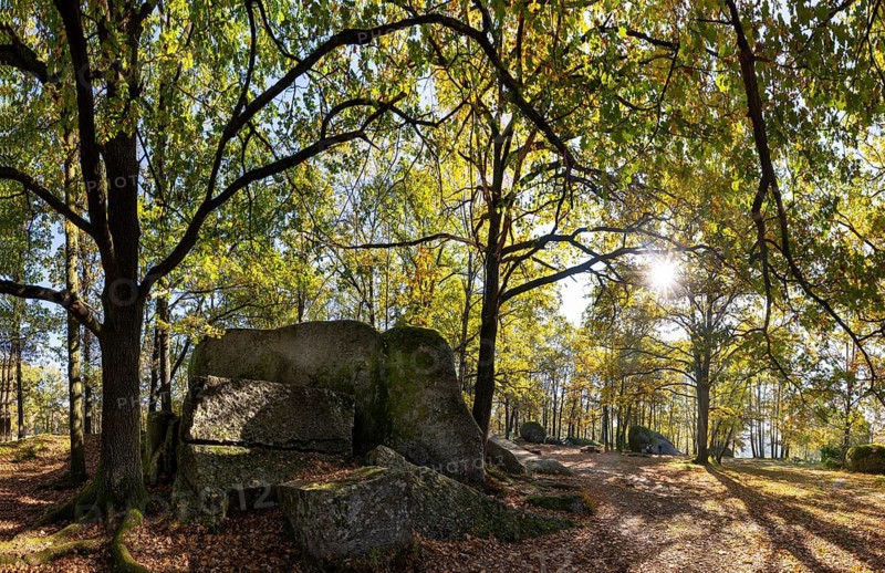 Granite rock Schuldstein, natural monument, Blockheide nature park Park near Gmünd, Waldviertel, Lower Austria, Austria