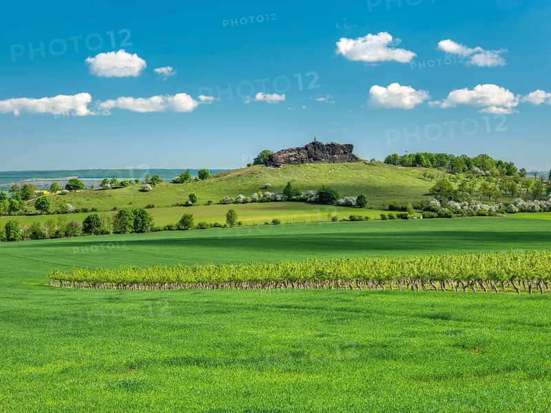 Landscape in the Harz foothills, view over an orchard to the Gegensteine rock formation, part of the Devil's Wall, Ballenstedt, Harz, Saxony-Anhalt, Germany