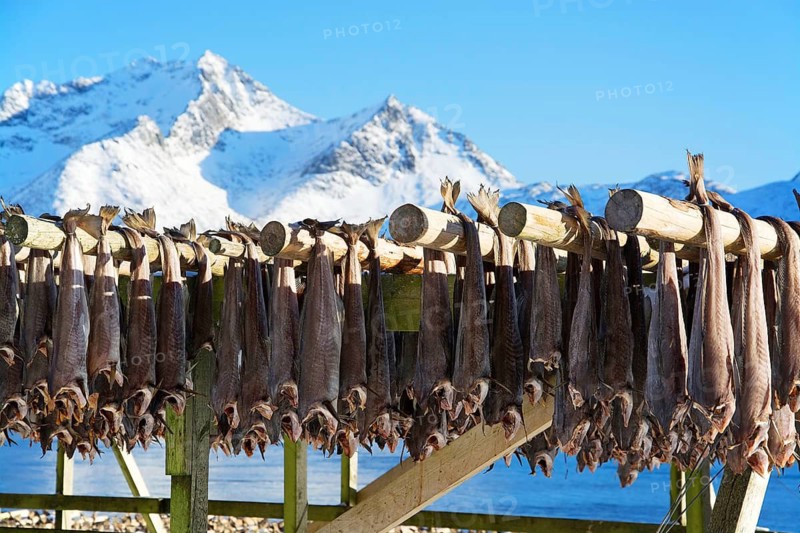 On the beach of Barstrand on the island of Gimsoymyrene, Lofoten, in Norway in winter, Barstrand, Lofoten, Norway