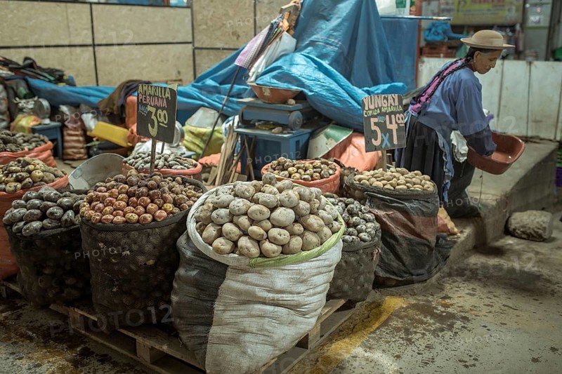 Potato variety, Mercado Mayorista, Huancayo, Peru