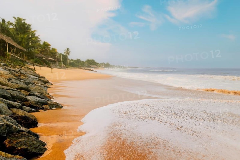 Sri Lanka sandy beach shoreline with gentle waves palm trees coastal huts rocks warm light serene tropical seascape travel scenery