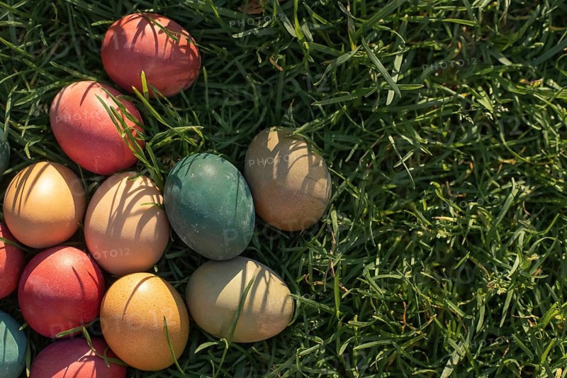 A collection of vibrant Easter eggs rests on lush green grass, casting playful shadows. The eggs in red, green, blue, and yellow create a festive, joyful springtime scene