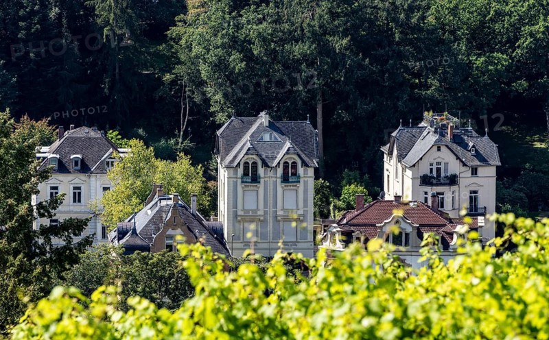View of vineyards and villas from the Neroberg, Wiesbaden, Hesse, Germany