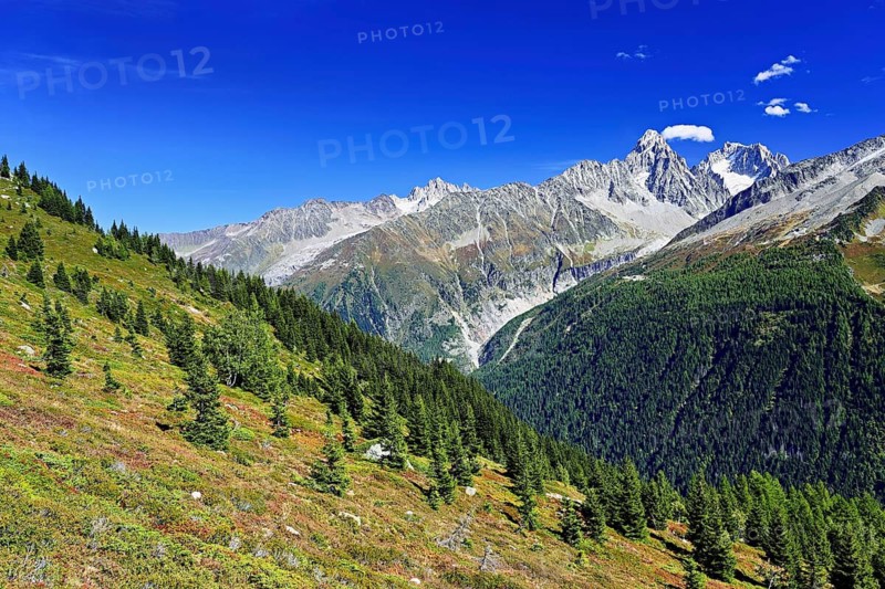 From left front Glacier du Tour back Aiguilles du Tour, right Aiguille du Chardonnet, in front foothills of the Argentière Glacier, Chamonix-Mont-Blanc, Haute-Savoie, France