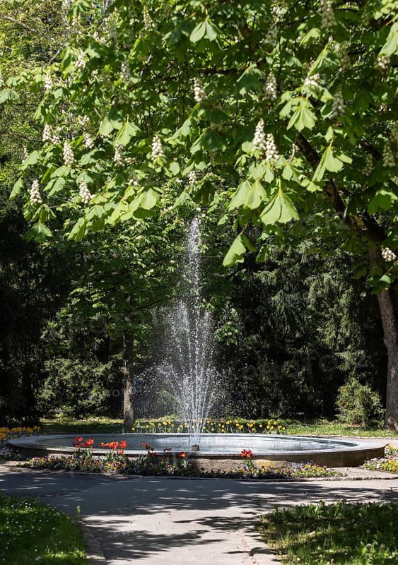 Fountain in the castle park, Steyr, Traunviertel, Upper Austria, Austria