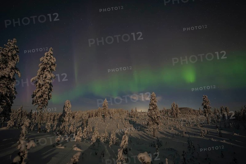 Northern Lights (Aurora borealis) over moonlit winter landscape, Nattavaara, Norrbotten, Lapland, Sweden, November 2023