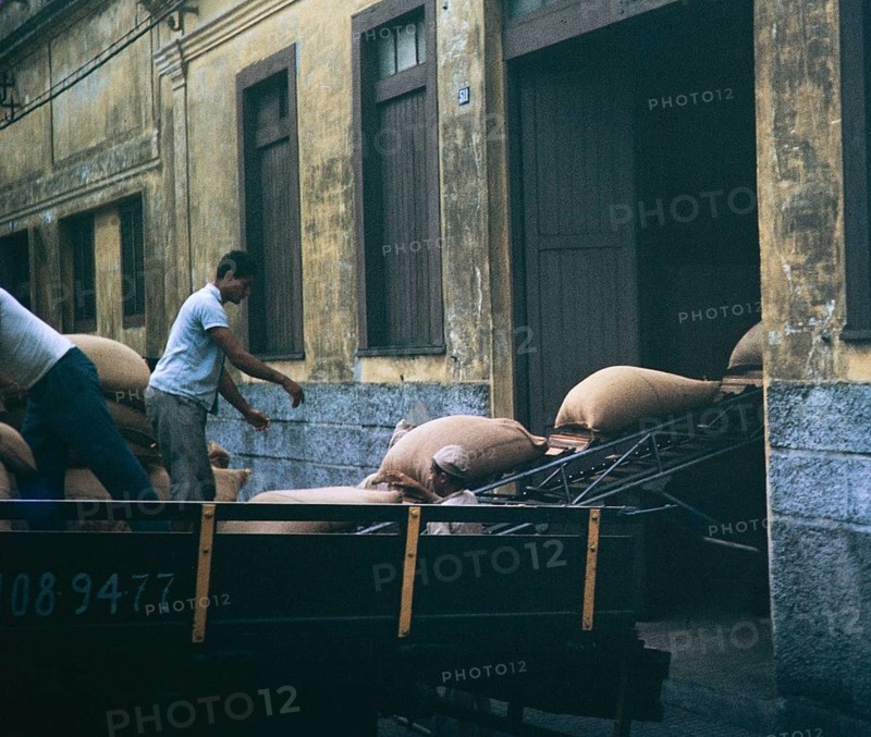 Men unloading sacks of coffee into a warehouse for export, Santos, Port of Sao Paulo, Brazil, South America