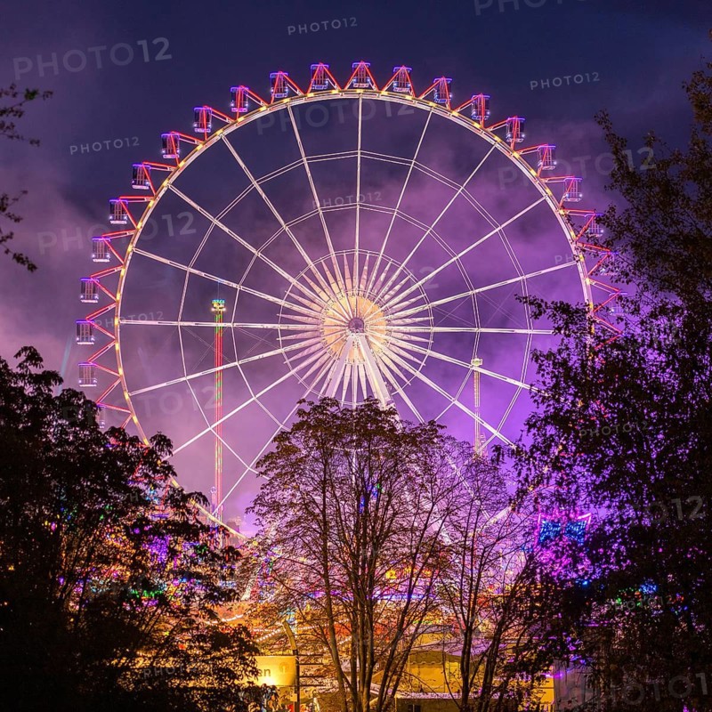 A large, brightly lit Ferris wheel with colourful lights against a night sky and surrounded by trees, Cannstadter Volksfest, Stuttgart-Bad Cannstadt, Baden-Württemberg