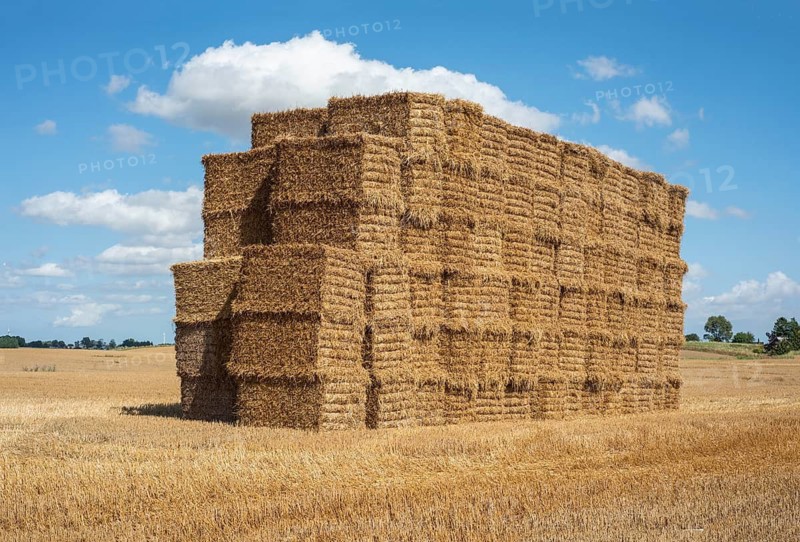 Pile of rectangular straw bales at Ystad, Skåne county, Sweden, Scandinavia