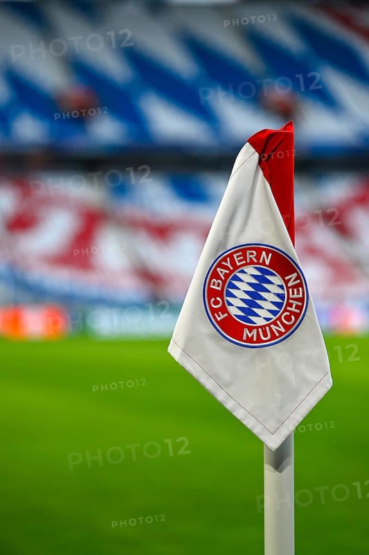 Corner flag, logo FC Bayern Munich soccer UEFA Champions League CL Allianz Arena, Munich, Bayern, Germany