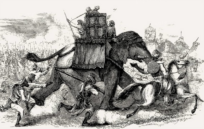 Elephantry of the Sikh Empire, Battle of Ferozeshah, First Anglo-Sikh War, 1845
