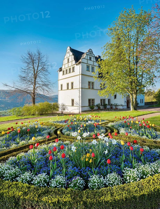 Round of flowers with colorful tulips in front of the Renaissance castle in spring, Dornburg Palaces and Park in the Saale Valley, Dornburg-Camburg, Thuringia, Germany