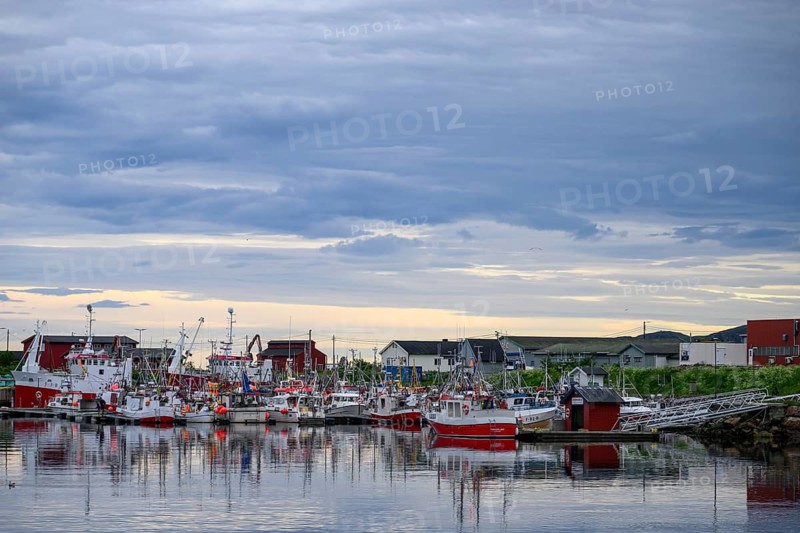 Fishing boats Fishing vessels are moored in Berlevag harbour in the north of the Varanger Peninsula with colorful buildings in the background, Berlevåg, Finnmark, Norway