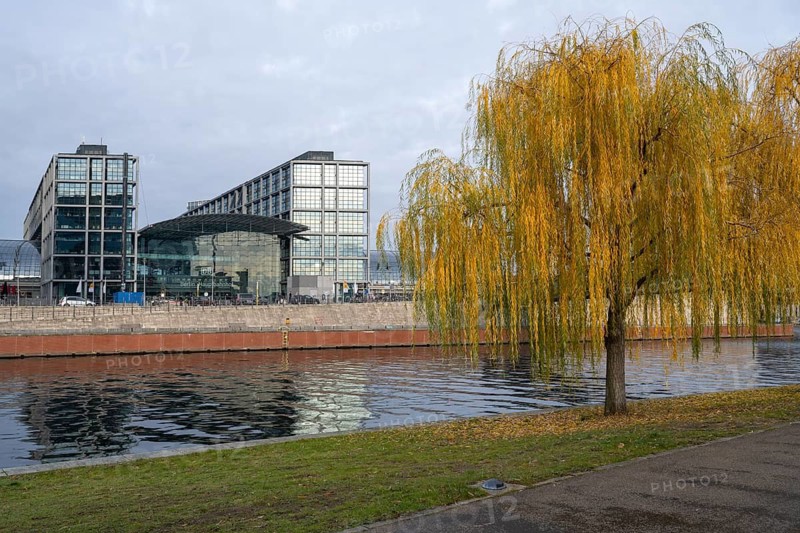 Weeping willow on Ludwig-Erhard-Ufer, Central Station, Spree, Berlin, Germany