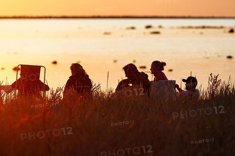 Group of people on coastline enjoying sunset, swarm of mosquitoes, silhouettes, Klintehamn, west coast of the island of Gotland, Baltic Sea, Sweden