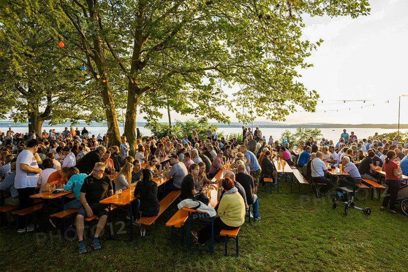 Wine festival in the vineyards, sunset, Meersburg, Lake Constance, Baden-Württemberg, Germany