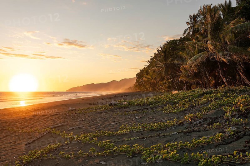 Low sun illuminates ocean spray and palm trees on the beach, with views of Corcovado National Park. Costa Rica