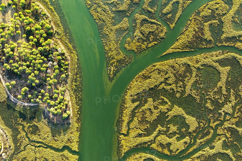 Aerial view showcasing the intricate patterns and vibrant colors of the Guadalquivir Marshes, highlighting the diverse ecosystem in the meandering waterways