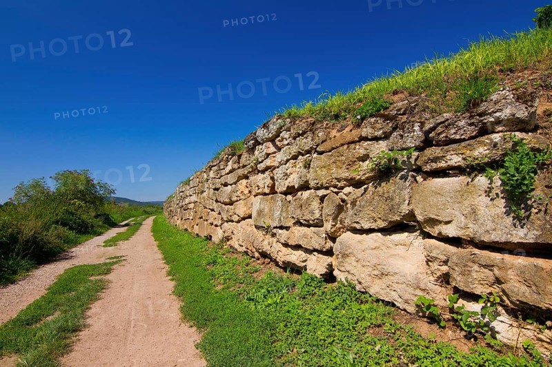 The Hiwweltour near Siefersheim, vineyard, vineyard wall, protective wall, Hiwweltour, hiking route, Siefersheim, Rhineland-Palatinate, Federal Republic of Germany