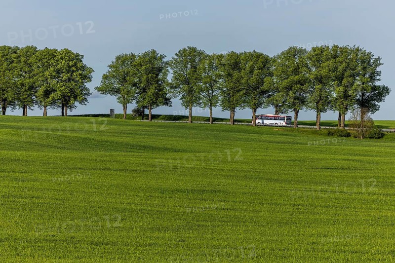 PlusBus of the Uckermärkische Verkehrsgesellschaft UVG on Bundesstraße 109 from Templin to Prenzlau, Gerswalde, Brandenburg, Germany