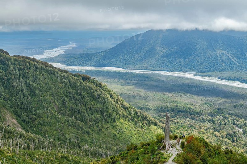 Two hikers stand on a hill between dead trees and new vegetation, burnt forest from the 2008 eruption of the Chaiten volcano, with the Rio Blanco river in the background, Pumalin-Douglas Tompkins National Park, Chaiten, Los Lagos region, Patagonia, Chile