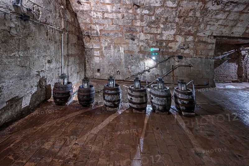 Historic rock cellar, beer cellar of an inn, built in the 17th century, market square, Lauf an der Pegnitz, Middle Franconia, Bavaria, Germany