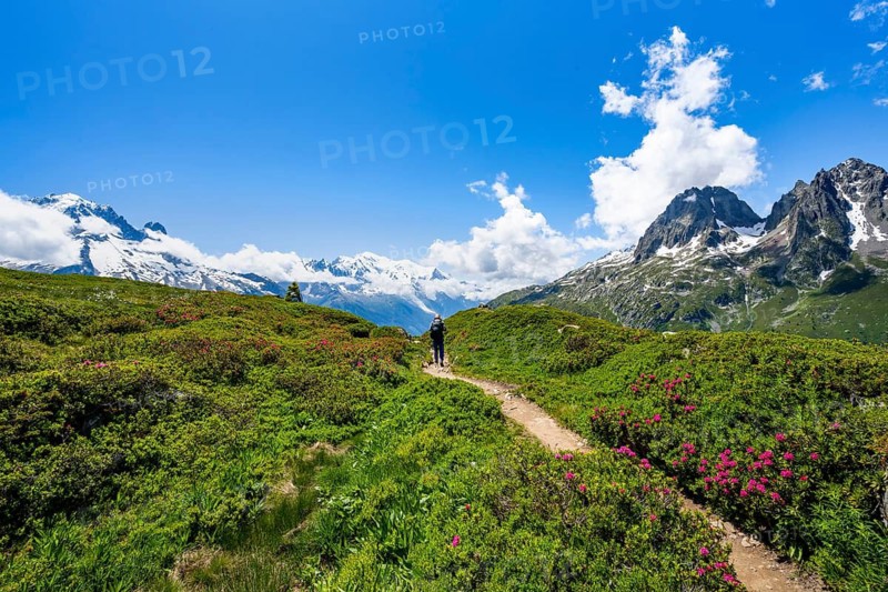 Mountaineers on hiking trail, mountain panorama with glaciated mountain peaks, Aiguille du Midi and Mont Blanc, Aiguille de Mesure and Aiguille de Chamois, hiking to Aiguillette des Posettes, Chamonix, Haute-Savoie, France