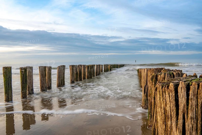Coastal protection, through wooden posts, paalhoofden, on the beach, breakwater, the piles, some of which are rammed into the sandy soil in double rows, slow down the waves and ocean currents and thus slow down the flow rate of seawater, so less sand is washed away from the stand, near Domburg, Walcheren peninsula in the Dutch province of Zeeland