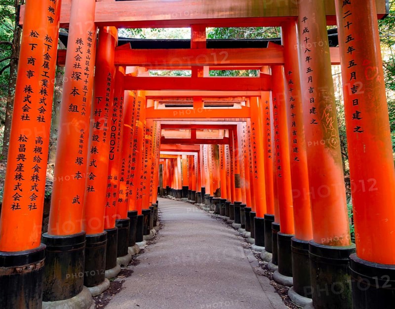 Walk through hundreds of red traditional torii gates, Fushimi Inari Taisha, Shinto Shrine, Fushimi Inari-taisha Okusha Hohaisho, Kyoto, Japan