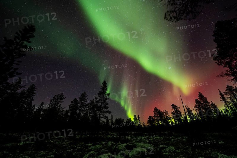 Northern Lights (Aurora borealis), Norrbotten, Lapland, Sweden, October 2022