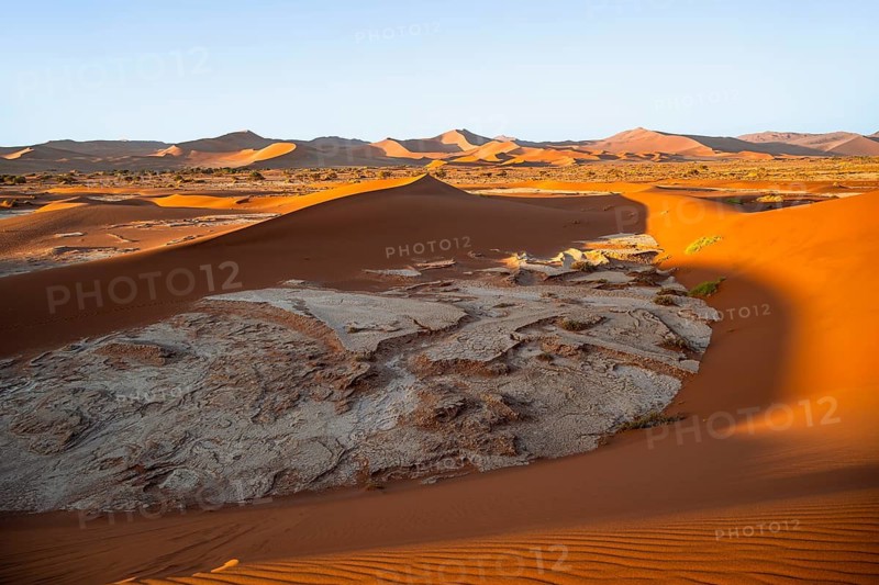 Red sand dunes, Sossusvlei region, Namib Desert, Namib-Naukluft National Park, Namibia