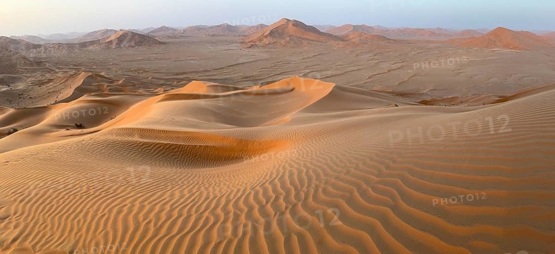 Sand dunes in the Rhub al Khali desert, empty quarter, largest sandy desert in the world, Oman