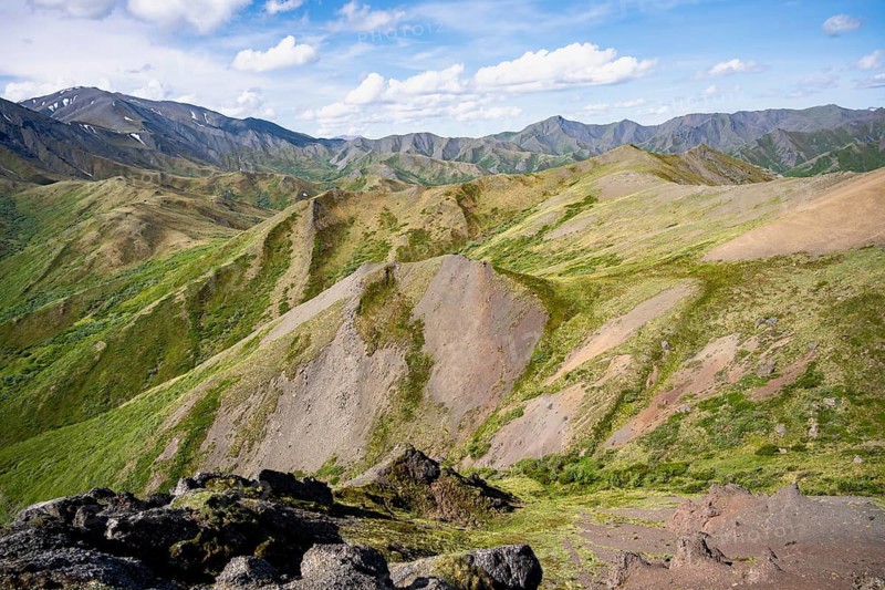Tundra and mountainous landscape of the Alaska Range, Sable Pass, Denali National Park and Preserve, Alaska, USA