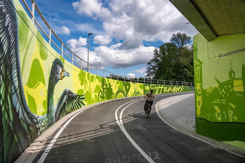 New bicycle tunnel at the junction of the B51 and Warendorfer Straße, in Münster, a bicycle and pedestrian tunnel, 150 metres long, 5.50 metres wide, crosses under the busy roads so that cyclists and pedestrians can pass without crossing, route to and from Münster city centre, visually designed with local motifs as murals, by Lackaffen.de, modern bicycle infrastructure, North Rhine-Westphalia, Germany
