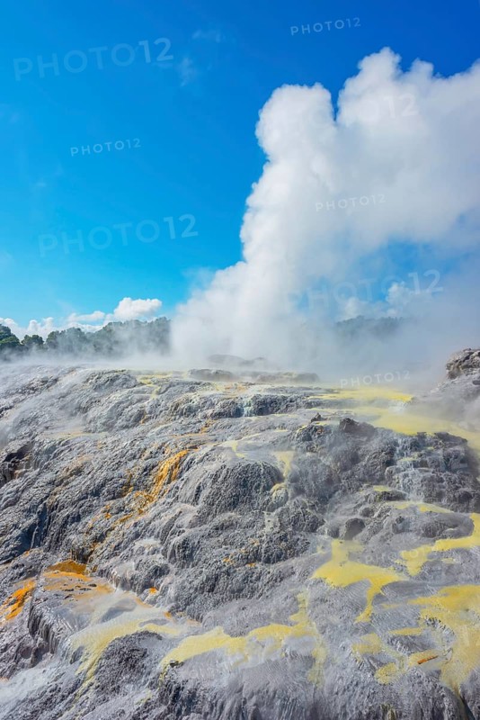 Prince of Wales and Pohutu geysers erupting, Te Puia Thermal Valley, Rotorua, Bay of Plenty, North Island, New Zealand