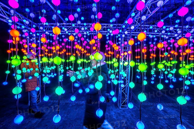 Park lights, winter event, in the Grugapark in Essen, many different light installations, across the park, attract many thousands of visitors, light work of art consisting of many hundreds of hanging ball lamps, LEDs, with changing colors, accessible, North Rhine-Westphalia, Germany