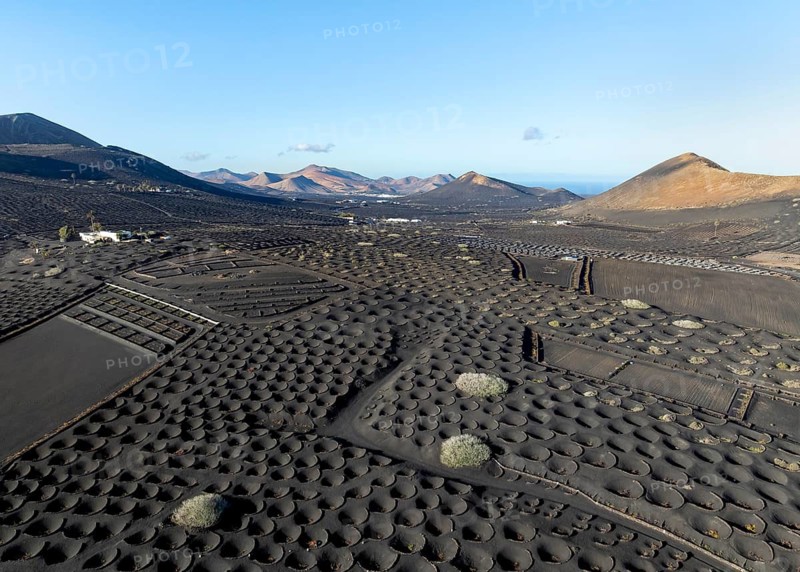 Typical drywall viticulture in volcanic landscape, on volcanic ash, lapilli, aerial view, vines, La Geria wine-growing region, Lanzarote, Canary Islands, Spain