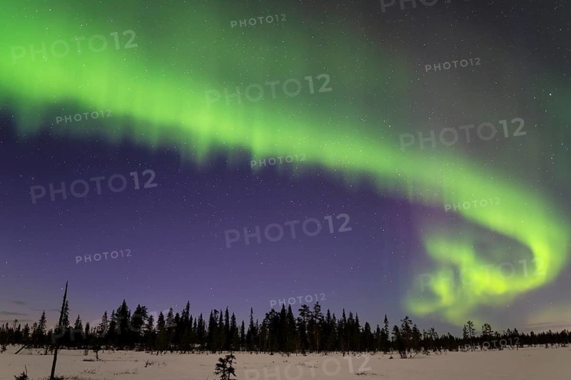 Northern Lights (Aurora borealis), Muddus National Park, Laponia World Heritage Site, Norrbotten, Lapland, Sweden, April 2025