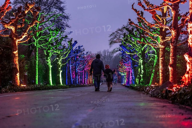 Park lights, events in winter, in the Grugapark in Essen, many different light installations, across the park, attract many thousands of visitors, North Rhine-Westphalia, Germany