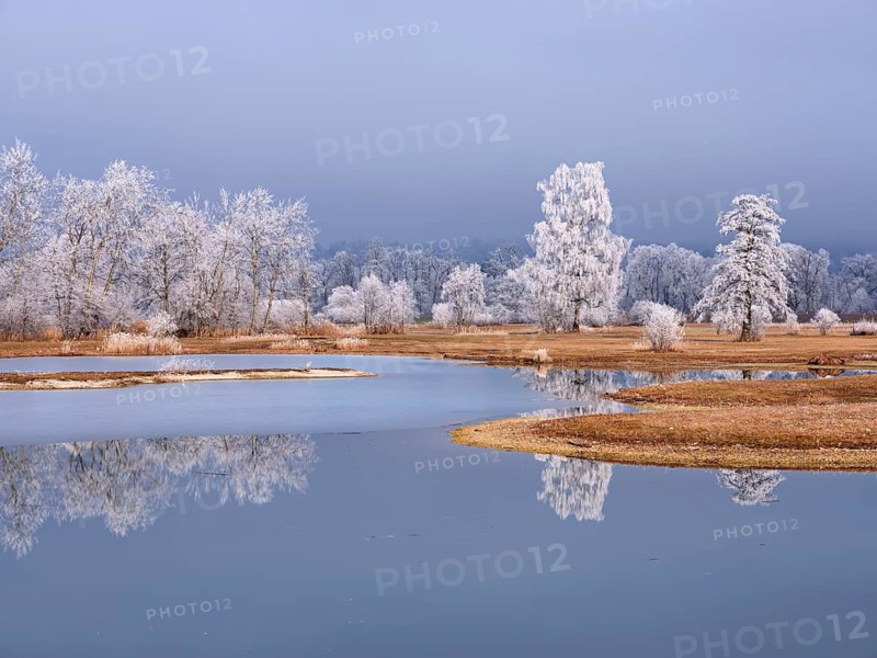 Frozen pond and trees in hoarfrost, nature reserve, Schoren, Mühlau, Freiamt, Aargau Canton, Switzerland