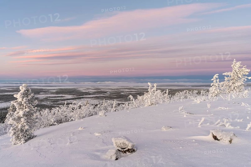 Dawn over marshland, Sjaunja Nature Reserve, Laponia World Heritage Site, Norrbotten, Lapland, Sweden, November 2020
