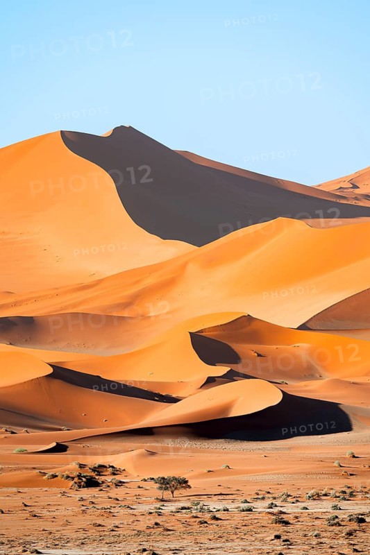 Red sand dunes, Sossusvlei region, Namib Desert, Namib-Naukluft National Park, Namibia
