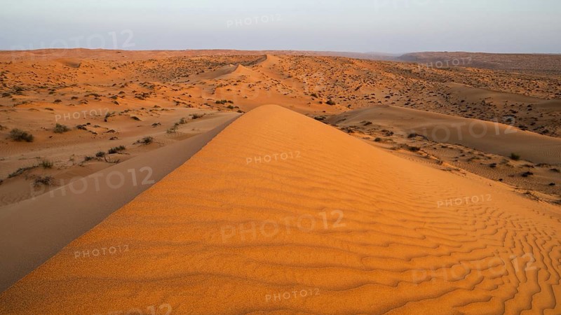 Sand dunes in the Wahiba Sands desert, Oman
