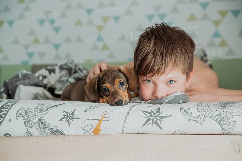 An affectionate moment between a boy and his Dachshund puppy, captured as they lie together on a bed with decorative bedding, staring into the camera