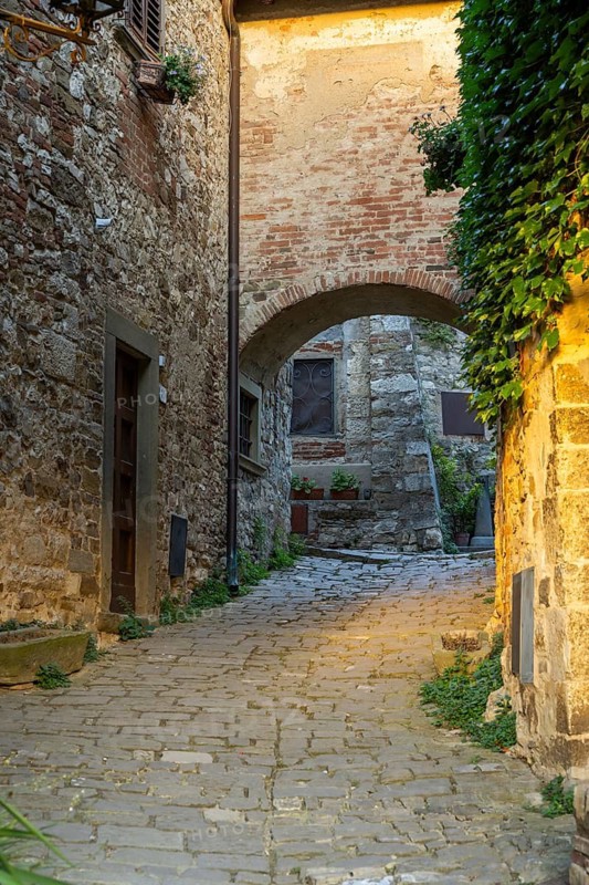 View of a little Street in the little wine town of Montefioralle, Chianti, Florence, Firenze, Tuscany, Italy