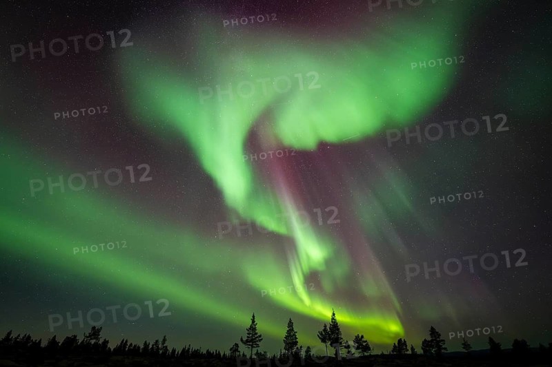 Northern Lights (Aurora borealis), Norrbotten, Lapland, Sweden, September 2024