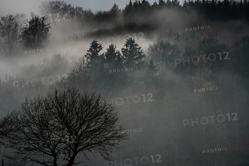 Foggy landscape, near Wesertal, Weser Uplands, Weserbergland, Hesse, Germany