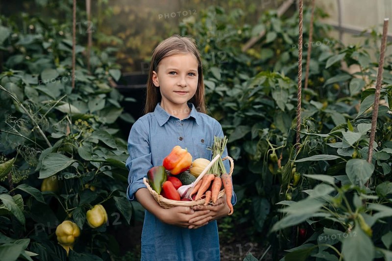 A young girl in a blue dress stands in a lush greenhouse, holding a basket filled with fresh, colorful vegetables, including peppers and carrots. The setting is vibrant and green